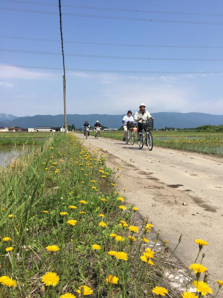 【健康サイクリング】開催しました