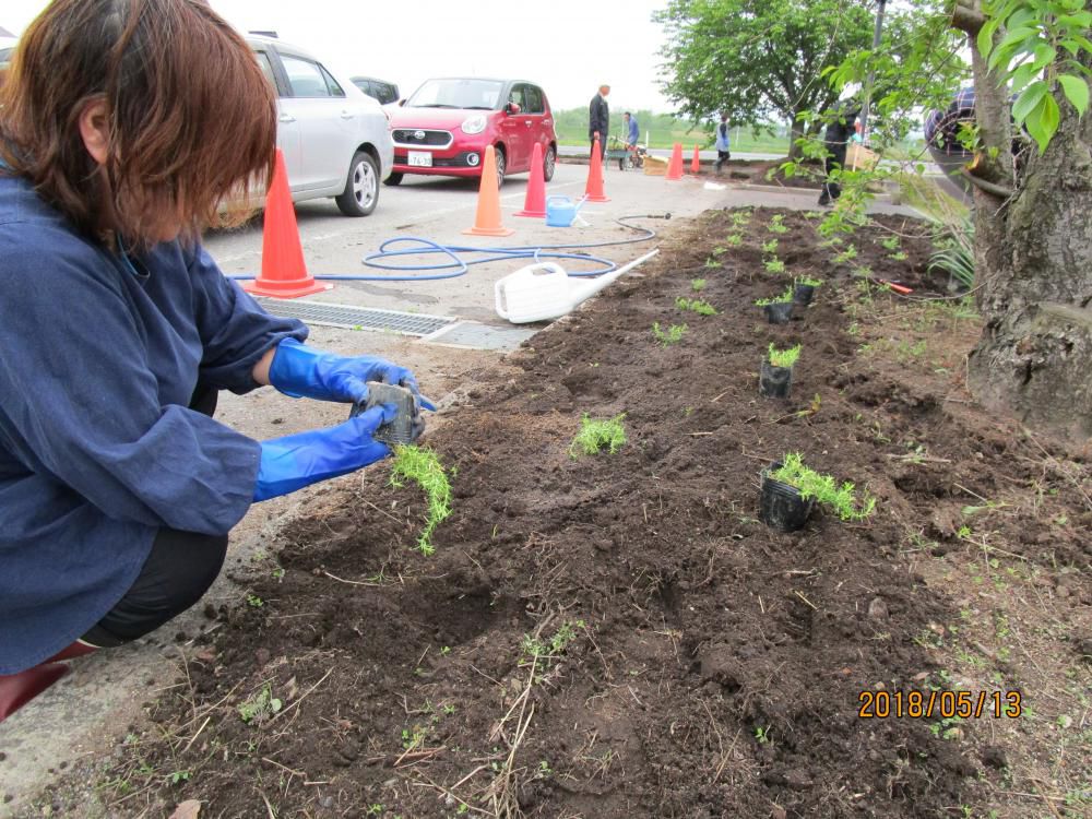 【豊田地区公民館花壇の花植え】をしました。