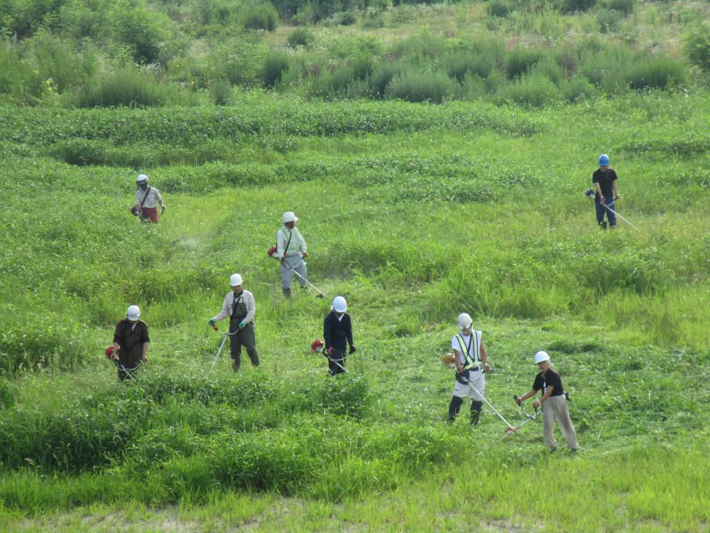 豊田地区【チームとよだ草刈り作業】