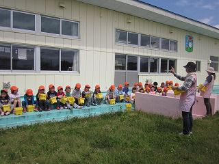 ５月２２日　ミニひまわりの種まき