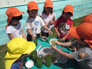 ７月　園だよりの「お知らせ」