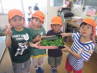 ７月１１日　畑の収穫～給食へ
