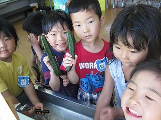 ８月１日　きゅうりとトマトおいしかったよ