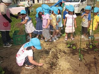 ６月　園だよりの「お知らせ」