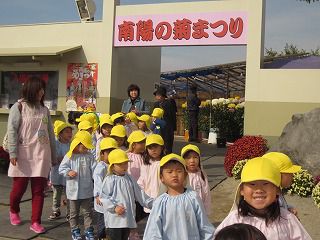 １０月２９日　菊祭り見学