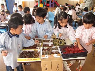 11月1日　自然遊び