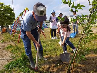 ５月１３日　桜の木を植樹　　