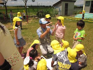 6月２３日　自然遊び（年長）
