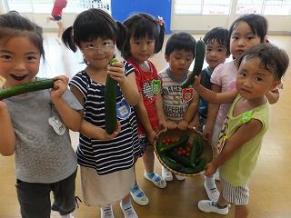 ７月17日　畑の野菜も入っておいしいね