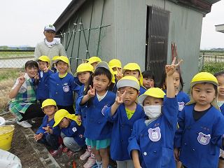 ５月２５日　みんなの畑で育てます 