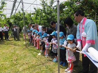 ６月６日　さくらんぼ園開園式 