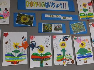 ８月３１日　ミニひまわり生長マップつくり