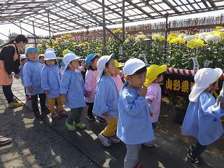 １０月１７日　南陽の菊まつり見学