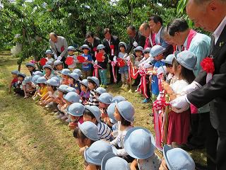 6月12日　さくらんぼ開園式