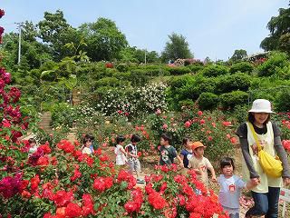 ６月２１日　園外保育（年少組）　