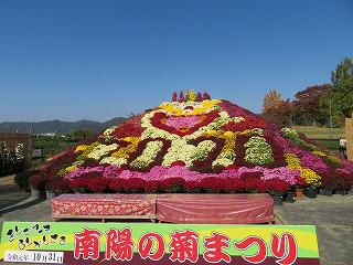 10月31日　菊まつり