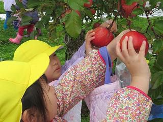 １１月１２日　りんご狩り