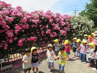はじめての園外保育