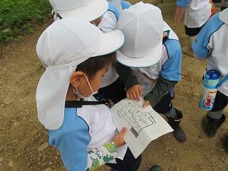 ＜年長かき組の野外活動＞