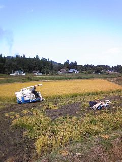 あと２枚