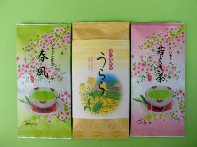 新発売！　春のお茶