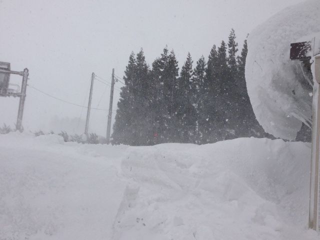 雪わっさ準備