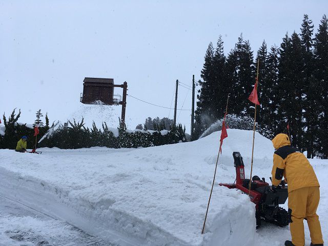 雪わっさ始動