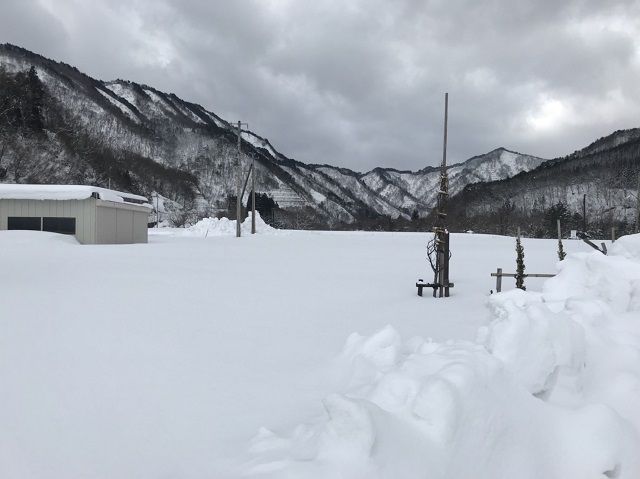 雪わっさ　準備
