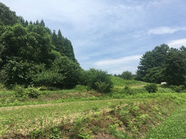 良いんですけど