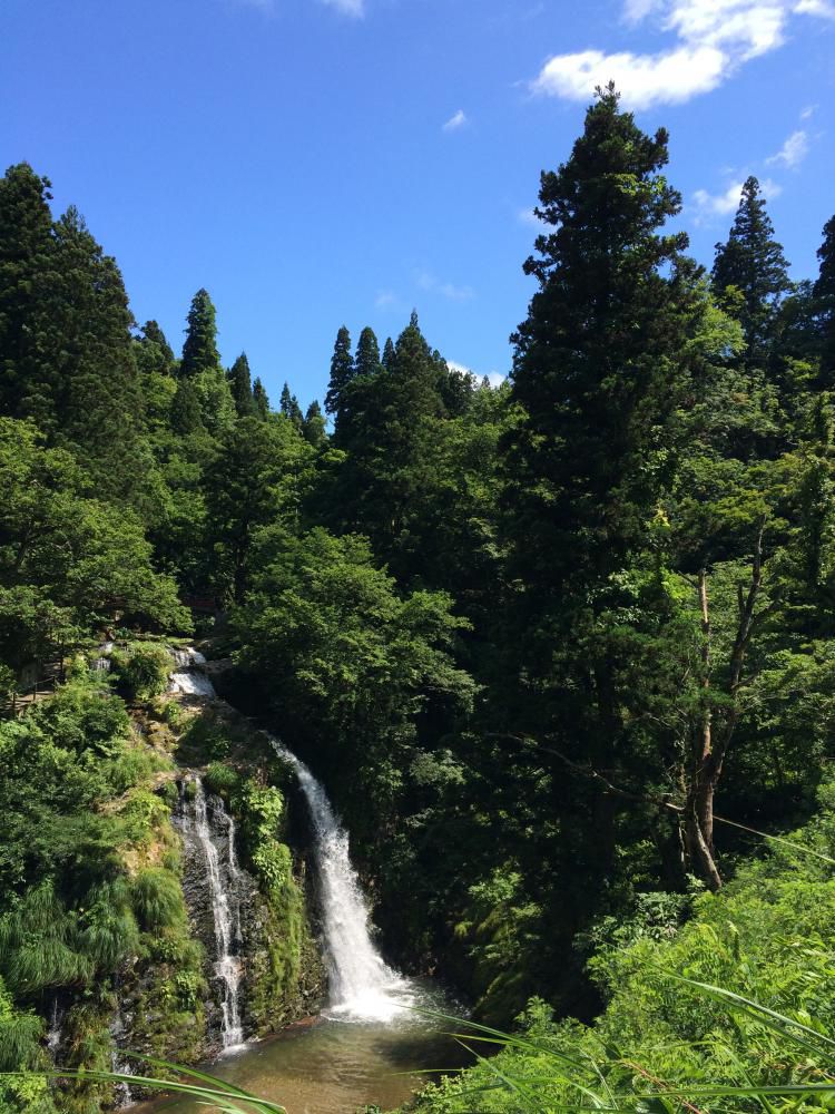 青と緑と滝