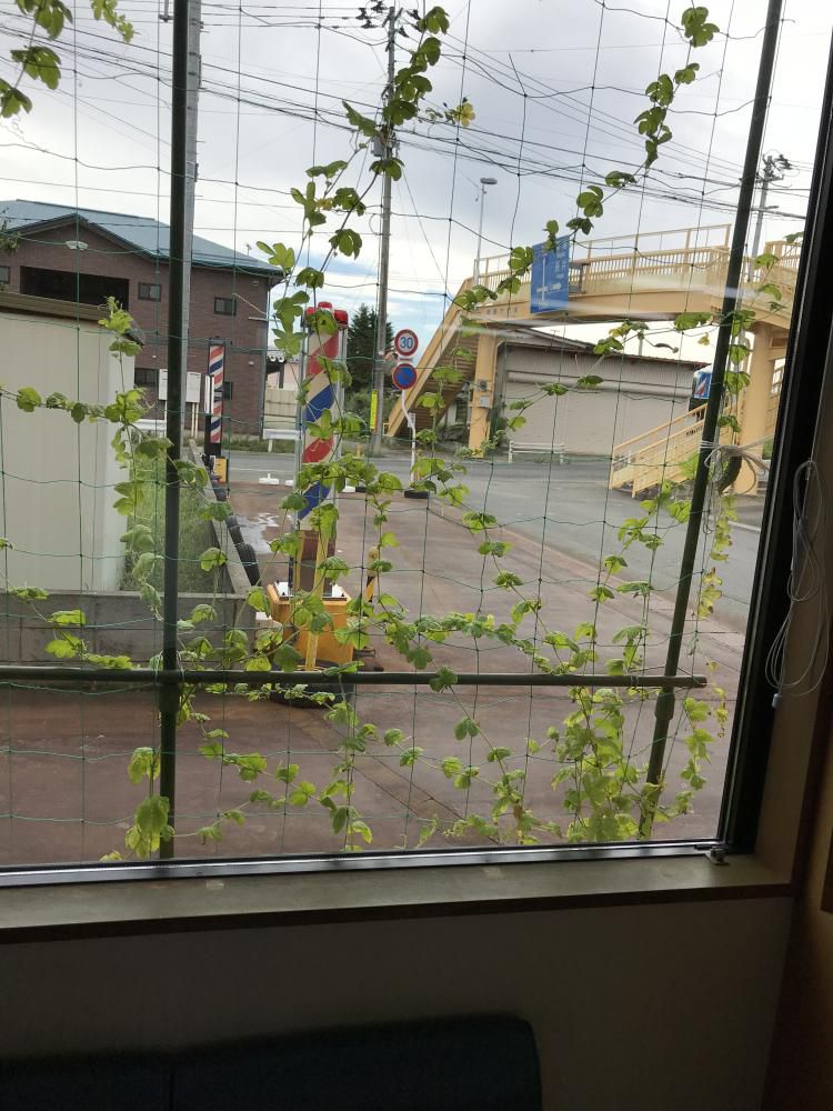ナウなカット グットなパーマ お顔そりでつるぷる肌 ヘアステーションコセキ