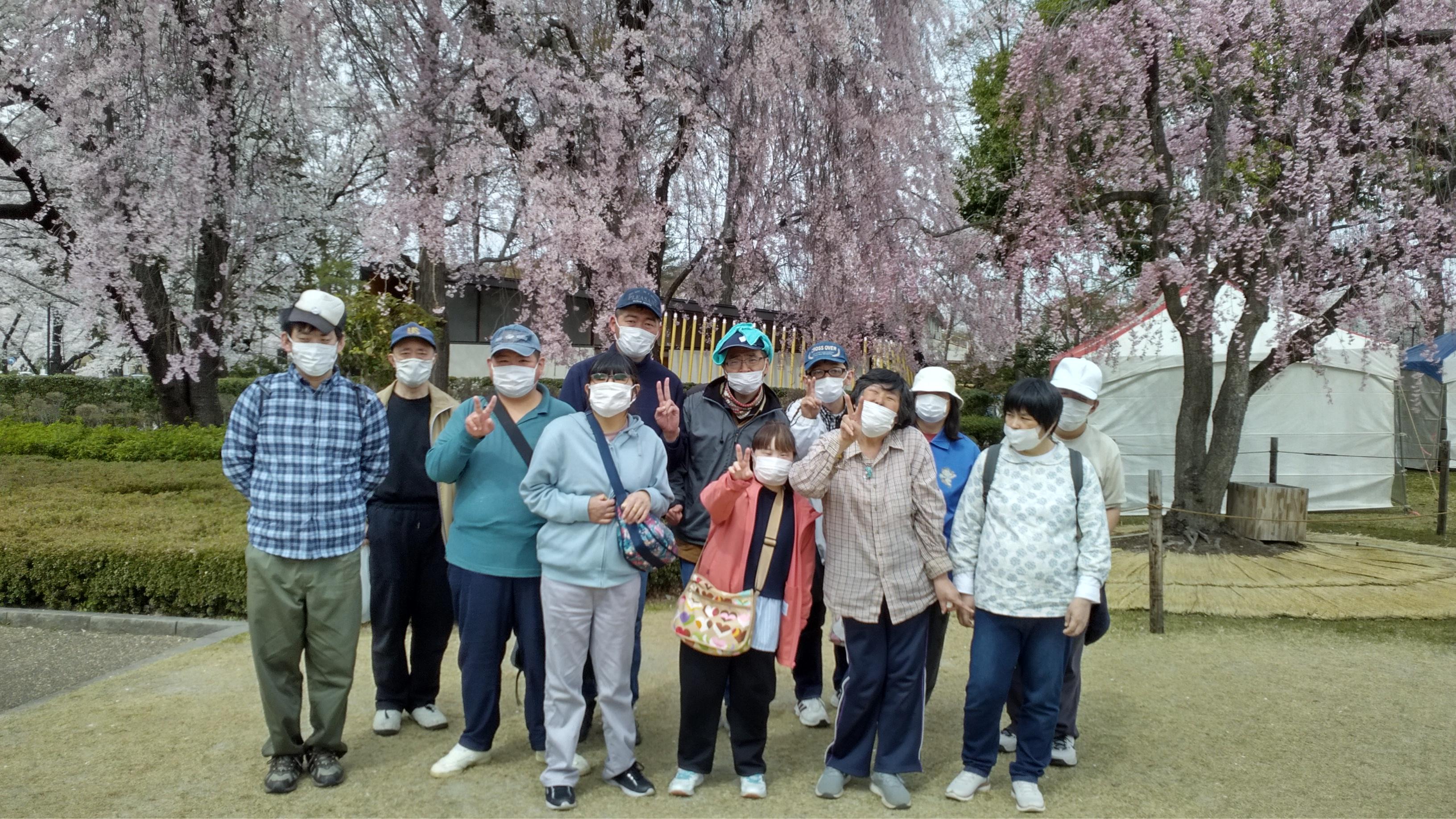 霞城公園お花見レポート(4月9日・10日)