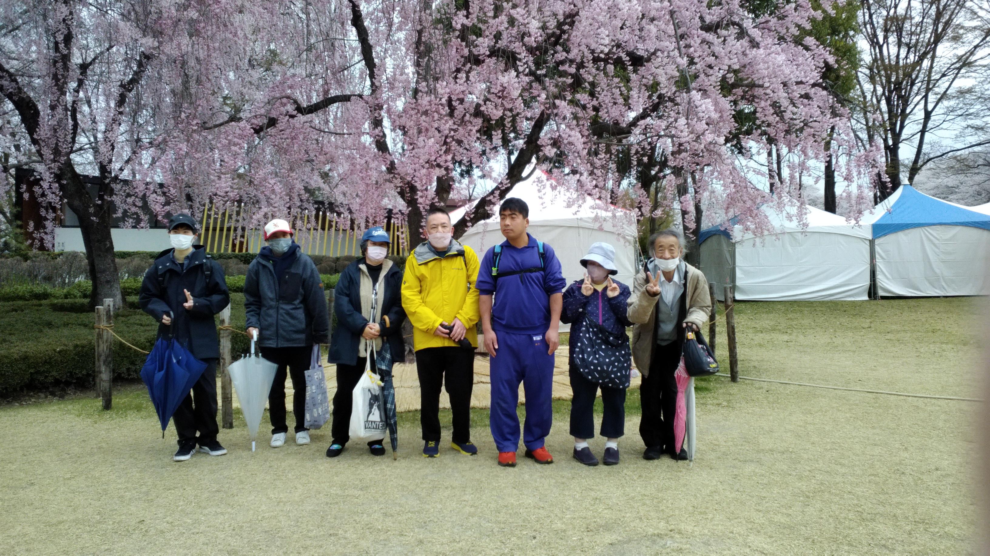 霞城公園お花見レポート(4月9日・10日)