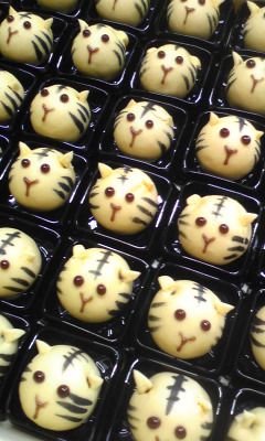 う～～虎・トラ・寅！