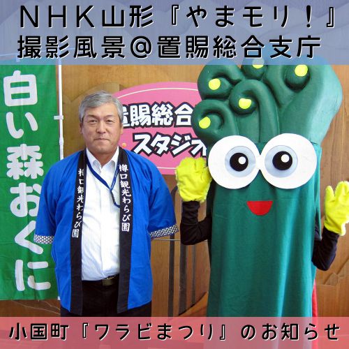 小国町「ワラビまつり」のお知らせ＠NHK山形「やまモリ！」【米沢市】置賜総合支庁舎ロビー