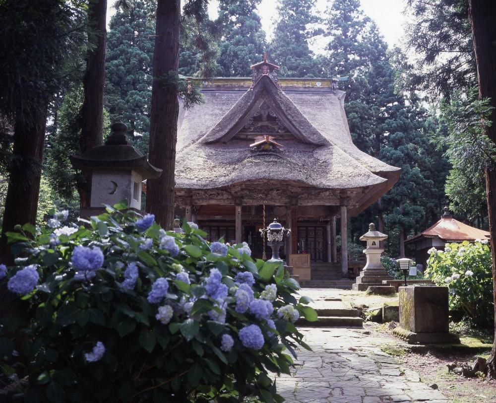 「あじさい寺　笹野観音（笹野幸徳院）」のご案内