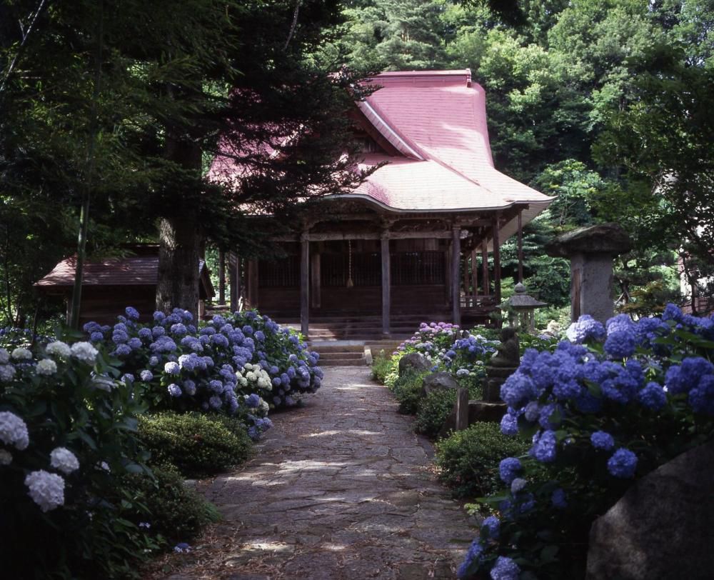 「万世のあじさい寺　堂森 善光寺」のご案内　