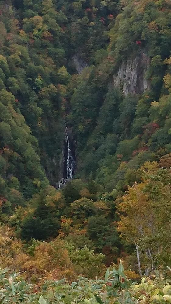 天元台高原「最上川源流散策 紅葉狩りハイキング」