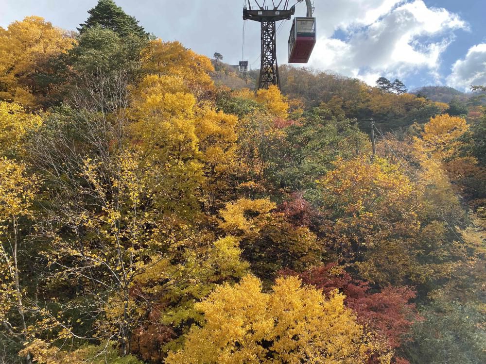 天元台高原「最上川源流散策 紅葉狩りハイキング」のご案内