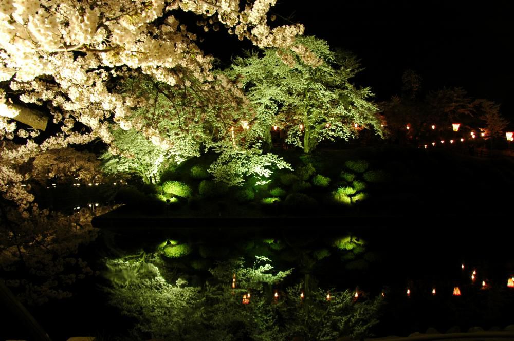 松が岬公園・北村公園「桜のライトアップ」実施中！