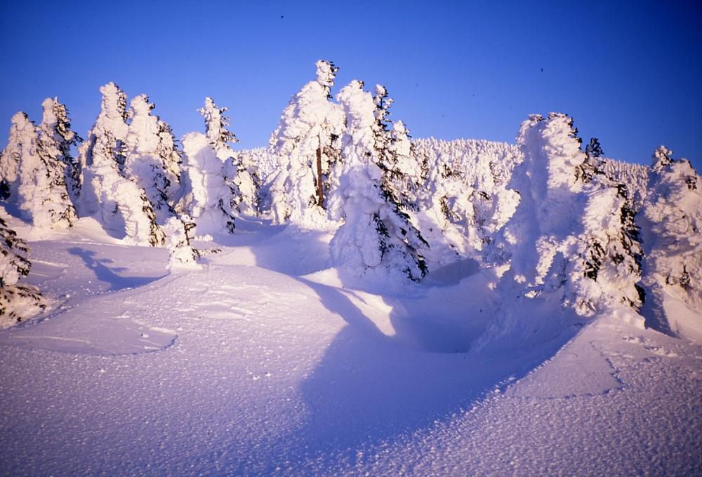 天元台高原「人形石スノーシュートレッキング(ガイド付)」3/20(金・祝)・4/19(日) 開催