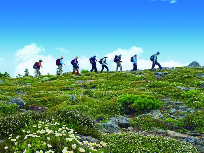 天元台高原「お気軽高山植物鑑賞トレッキング」