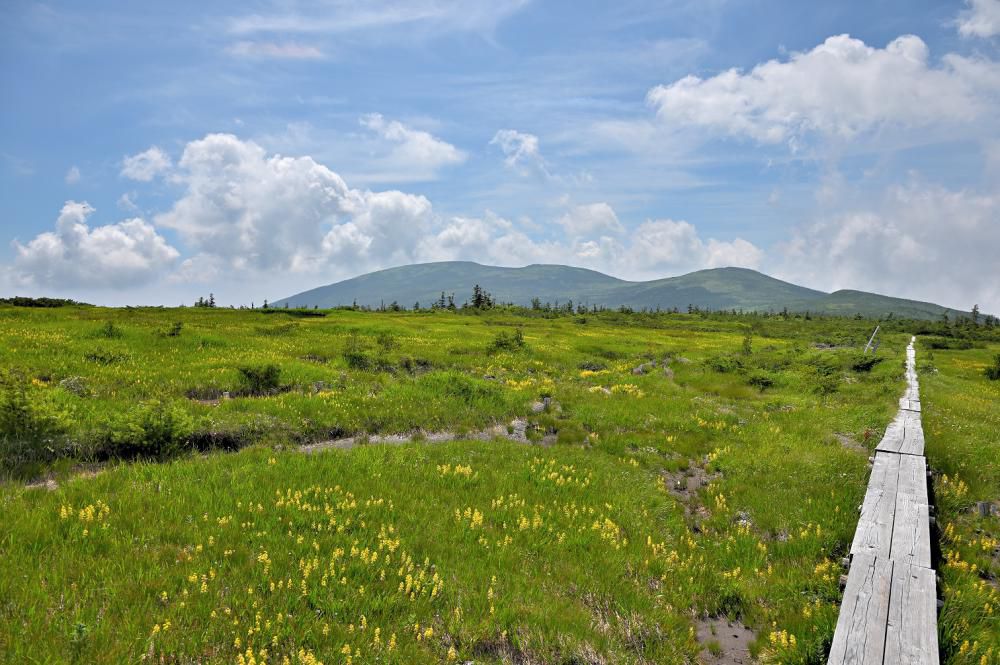 天元台高原「西吾妻山縦走登山」弥兵衛平湿原コース9/13（日）開催