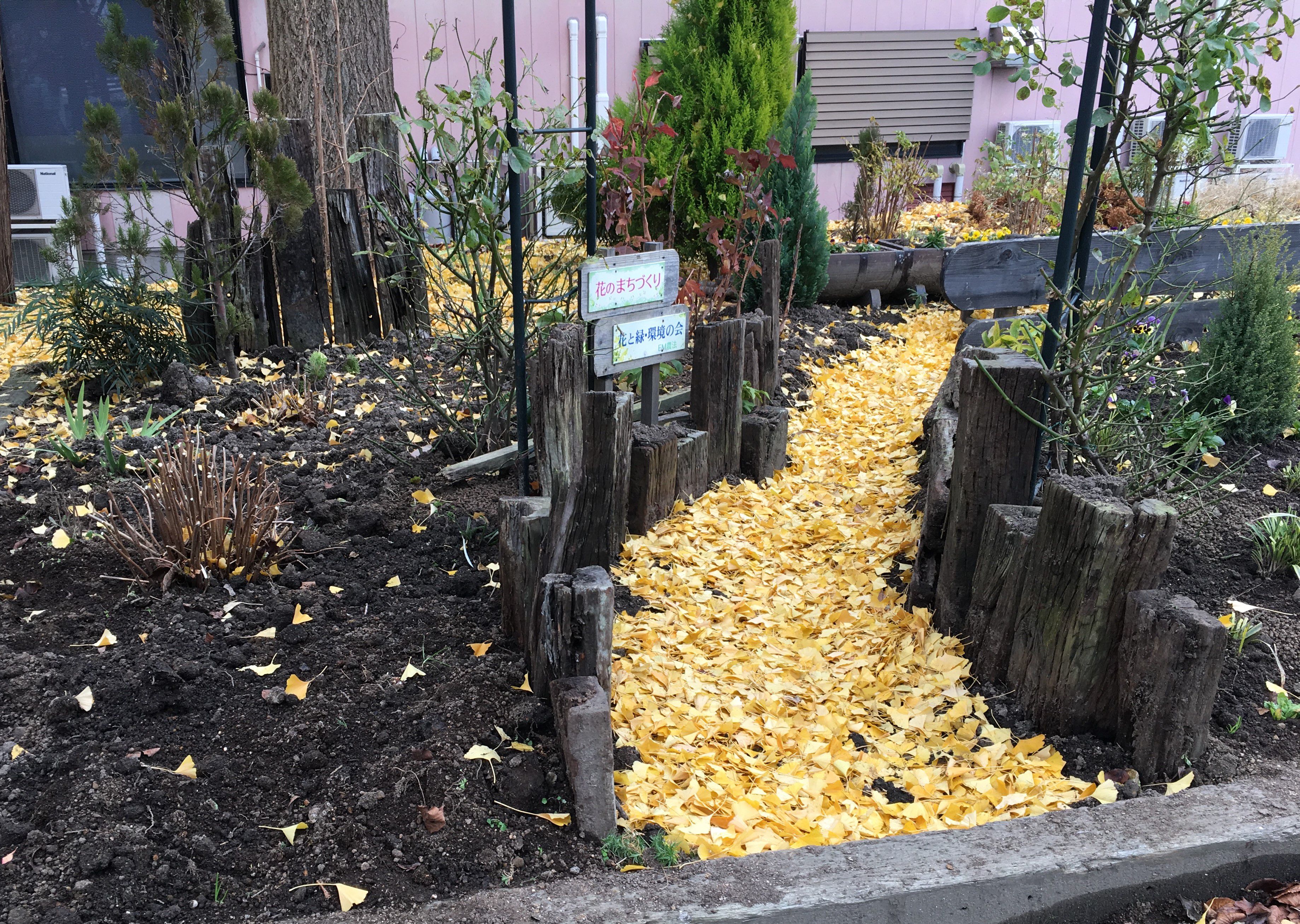 長井駅前　『黄色の小道がある花壇』