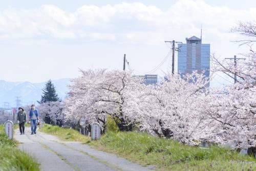 【タクシー/サイクリング】春のオススメツアー企画