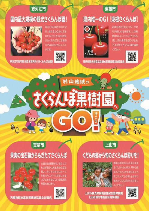 村山地域の「さくらんぼ果樹園」へ行こう！