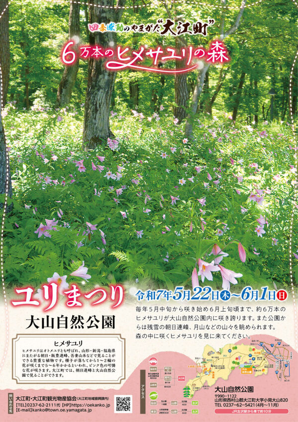 大山自然公園ユリまつり【山形県大江町】