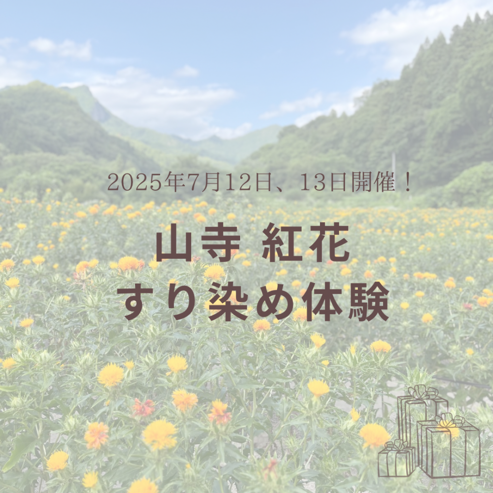 山寺 紅花すり染め体験（2025年7月12日、13日開催）