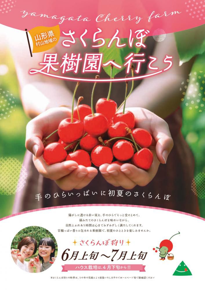 さくらんぼ果樹園へ行こう
