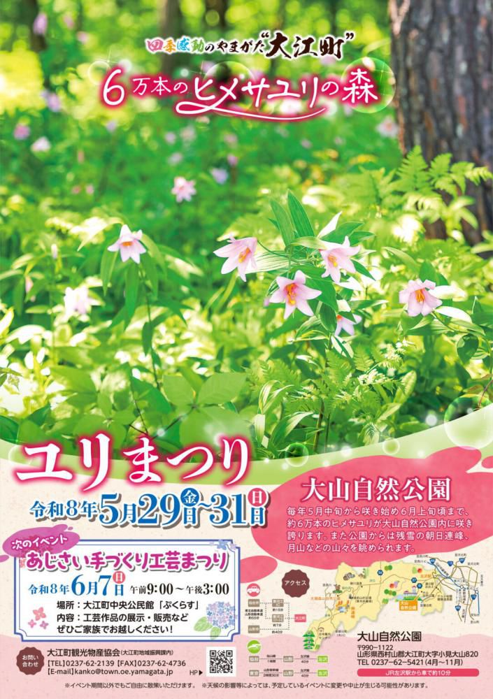 約６万本の貴重なヒメサユリが咲き誇る…！「大山自然公園ユリまつり」開催